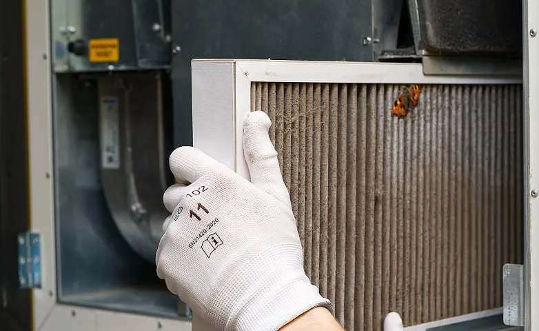 Alleviate allergy symptoms